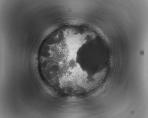 X0000102530634200808221906