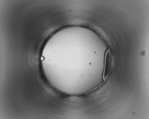 X0000102530636200808221906