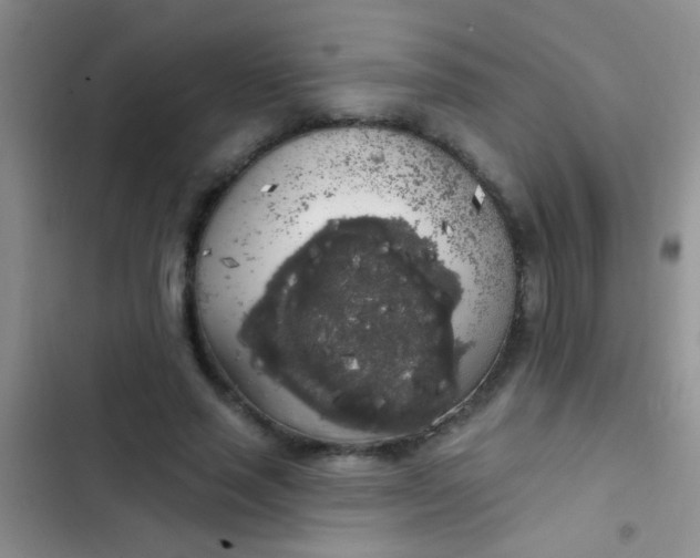 X0000102530637200808221906