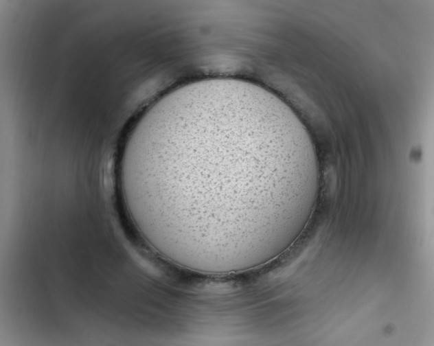 X0000102530638200808221906