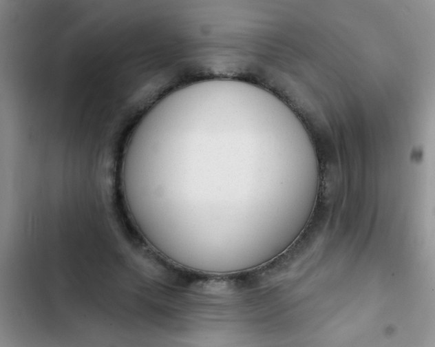 X0000102530639200808221906