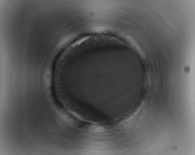 X0000102530640200808221906