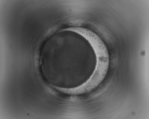 X0000102530641200808221906