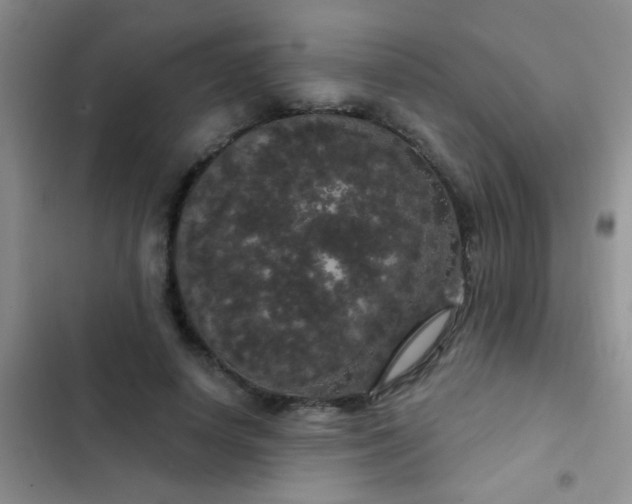 X0000102530642200808221906