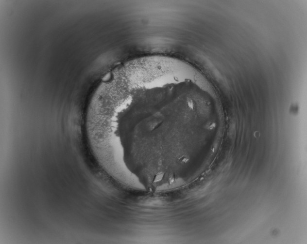 X0000102530643200808221906