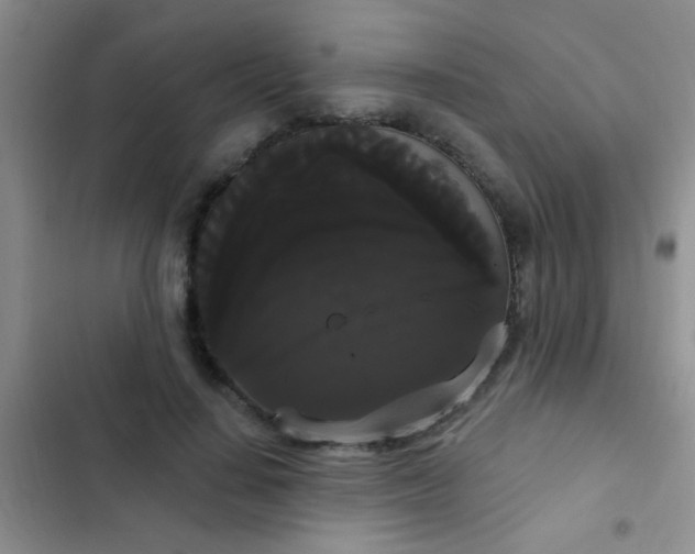 X0000102530644200808221906