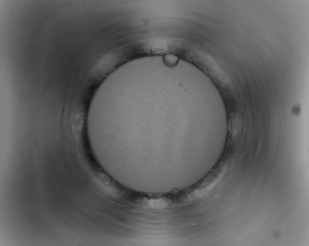 X0000102530645200808221906