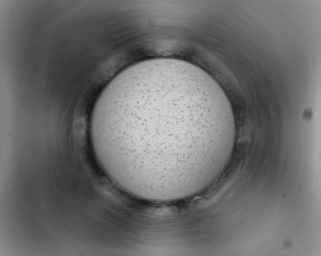 X0000102530646200808221906