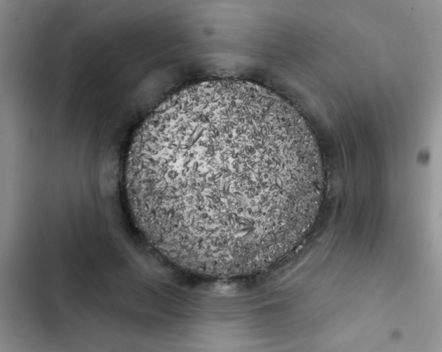 X0000102530647200808221906