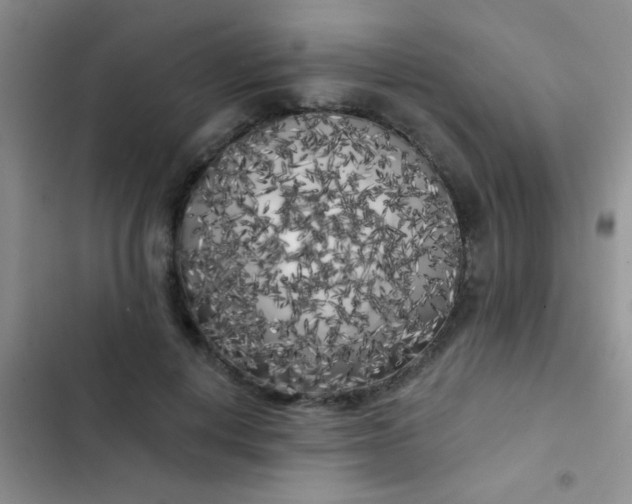 X0000102530648200808221906