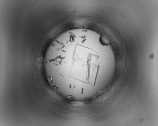 X0000102530649200808221906