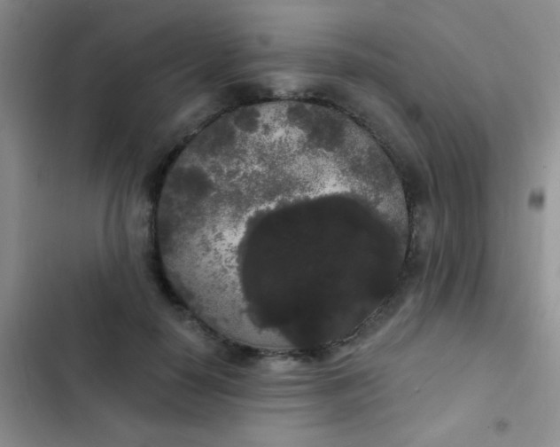 X0000102530650200808221906