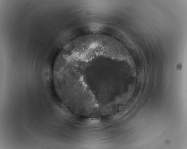 X0000102530651200808221906