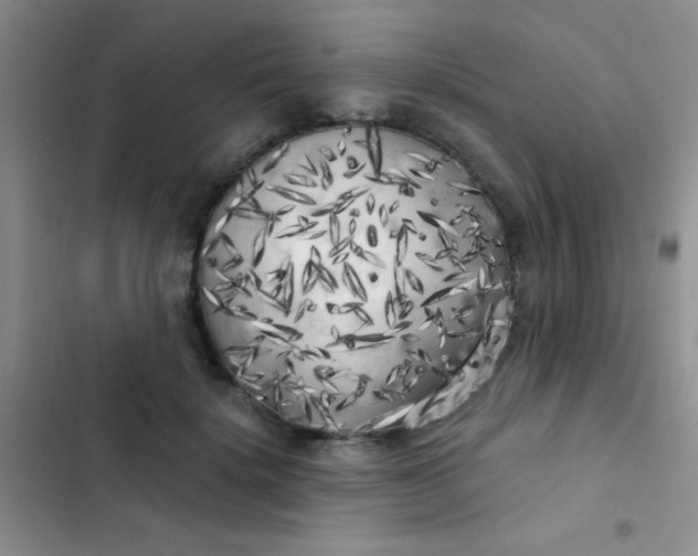 X0000102530652200808221906