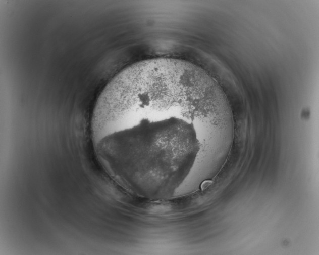 X0000102530653200808221906