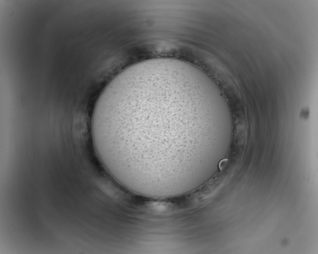 X0000102530654200808221906