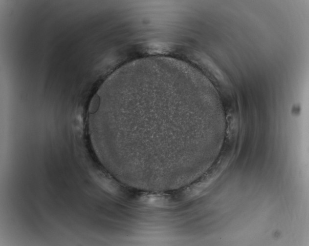 X0000102530655200808221906