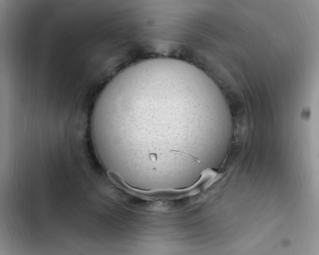 X0000102530656200808221906