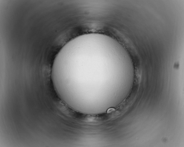 X0000102530657200808221906