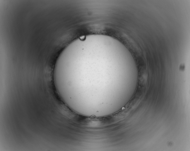 X0000102530658200808221906