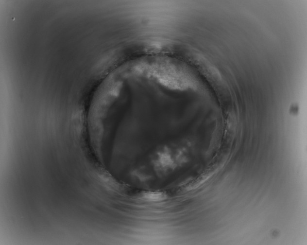 X0000102530659200808221906