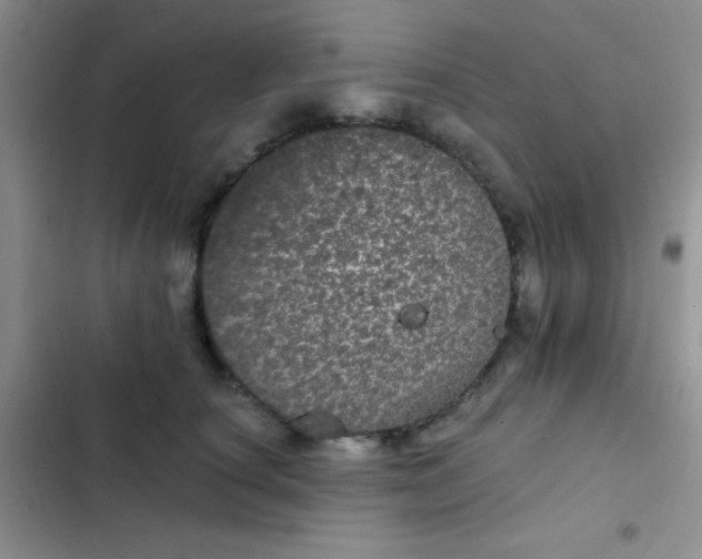 X0000102530660200808221906