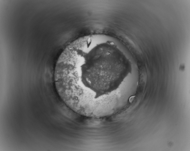 X0000102530661200808221906