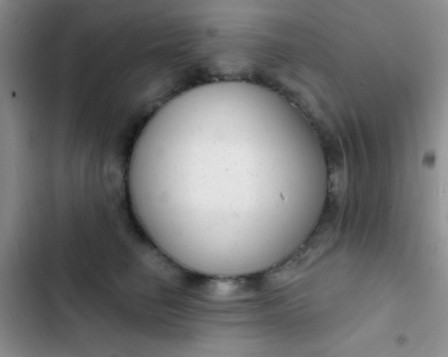 X0000102530662200808221906