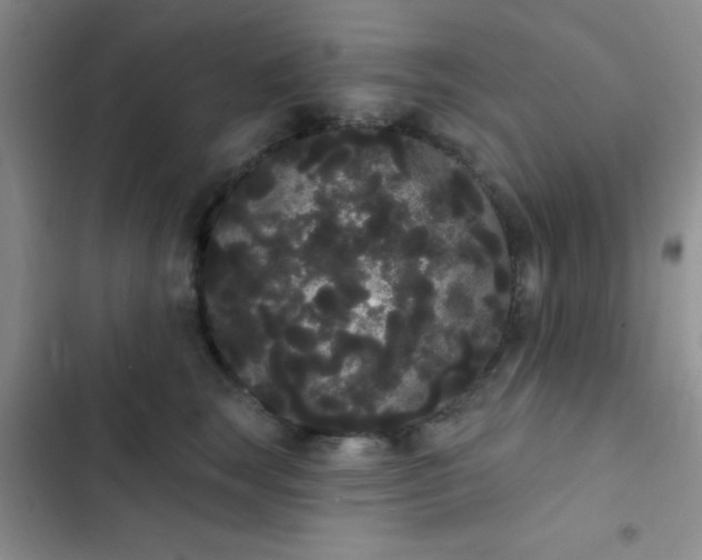 X0000102530663200808221906