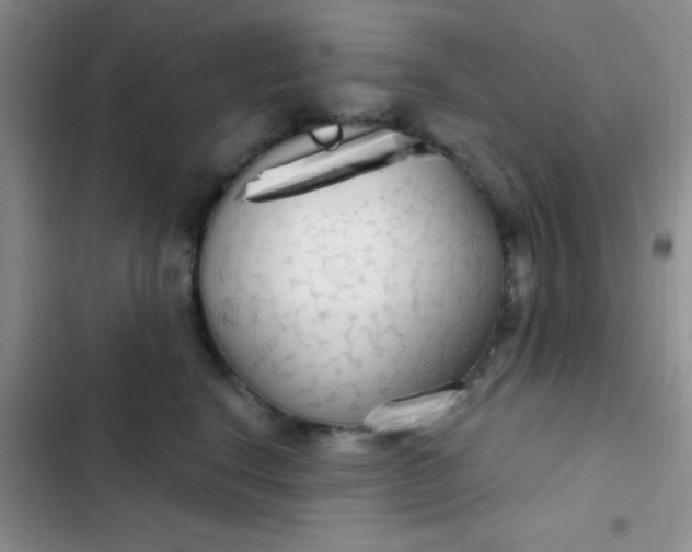 X0000102530664200808221906