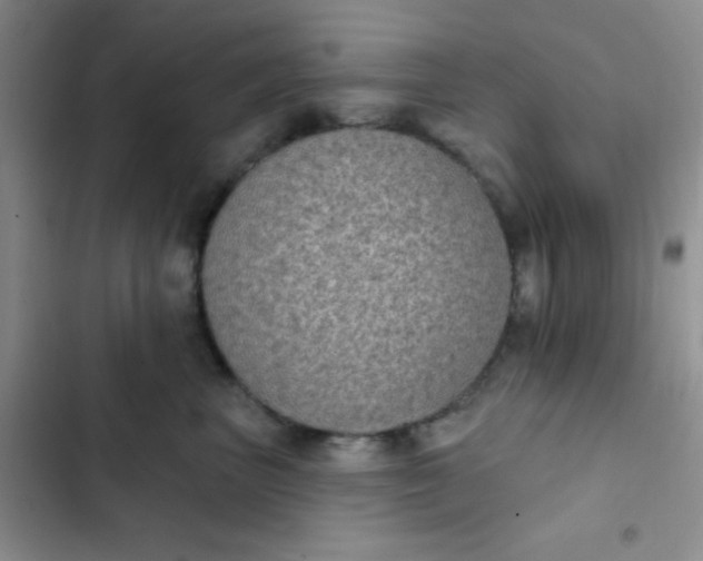 X0000102530667200808221906