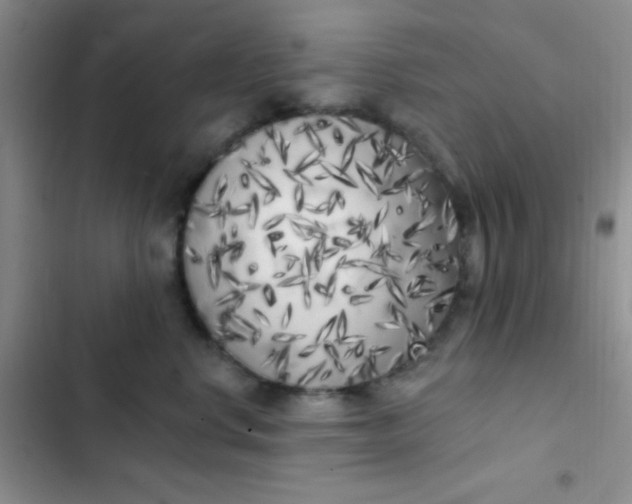 X0000102530668200808221906