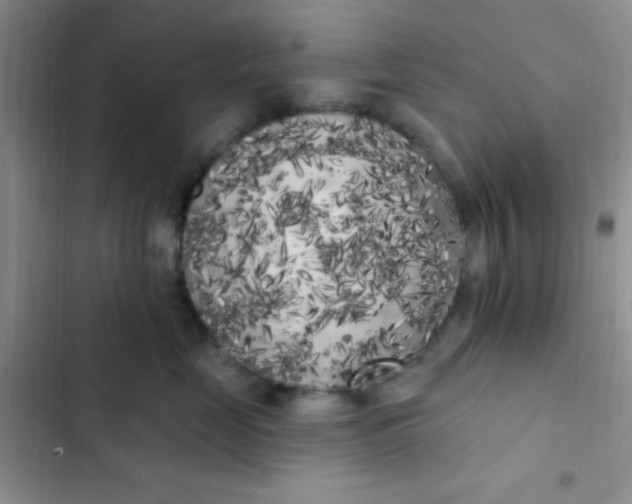 X0000102530669200808221906