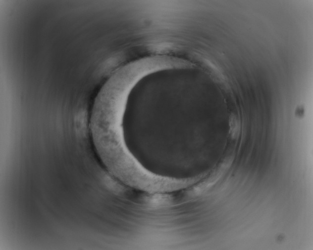 X0000102530670200808221906