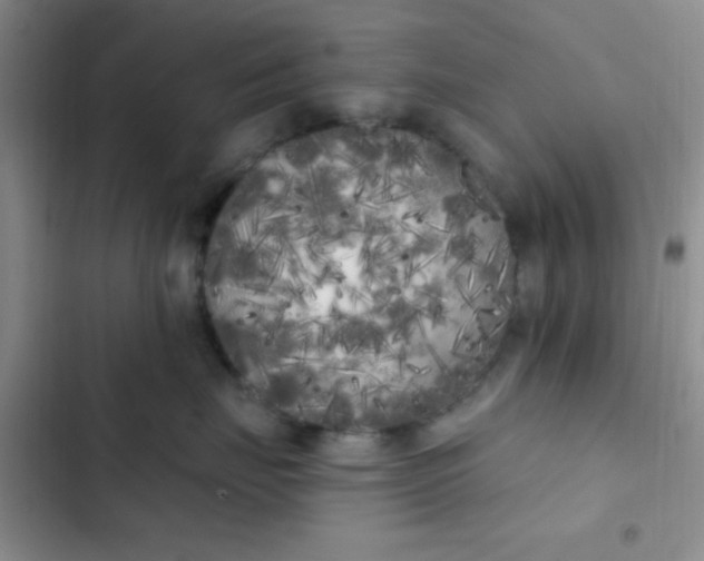 X0000102530671200808221906