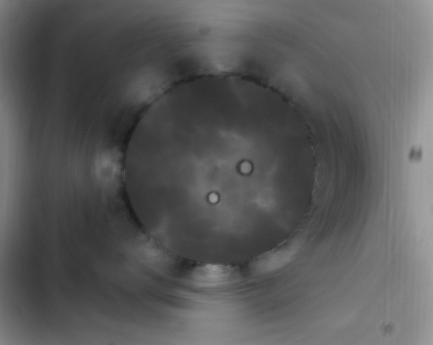 X0000102530672200808221906