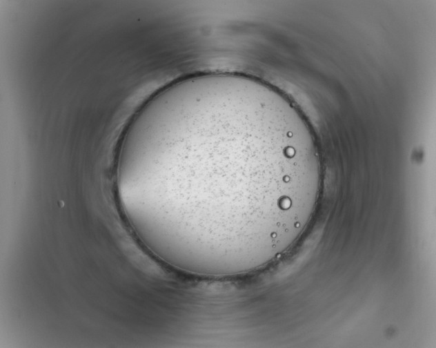 X0000102530673200808221906