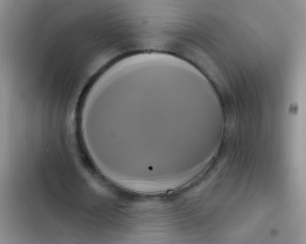 X0000102530674200808221906