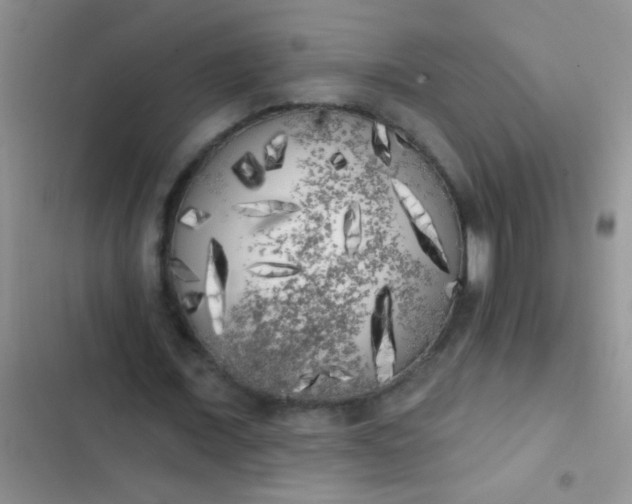 X0000102530675200808221906