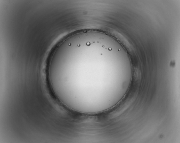 X0000102530676200808221906