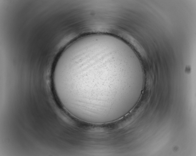 X0000102530677200808221906