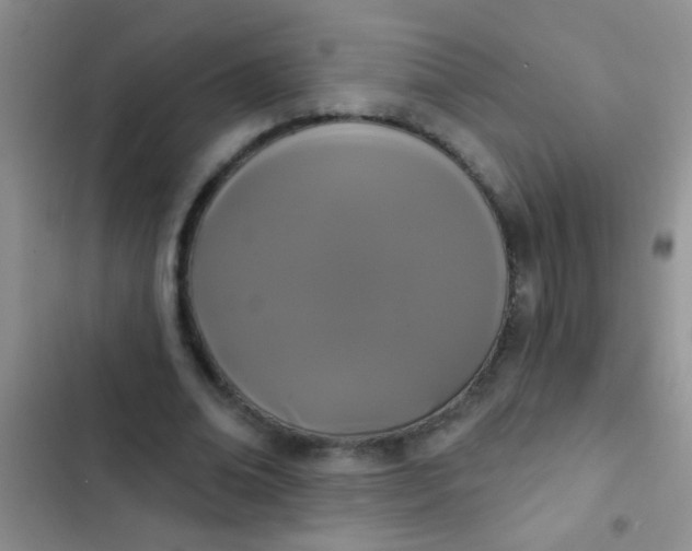 X0000102530678200808221906