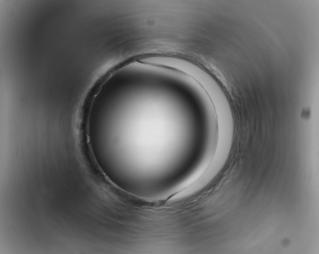 X0000102530679200808221905