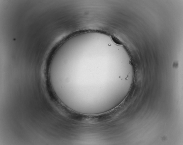 X0000102530680200808221905