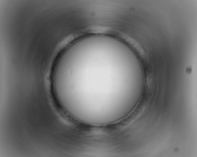 X0000102530682200808221905