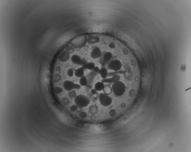 X0000102530683200808221905