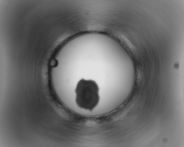 X0000102530684200808221905