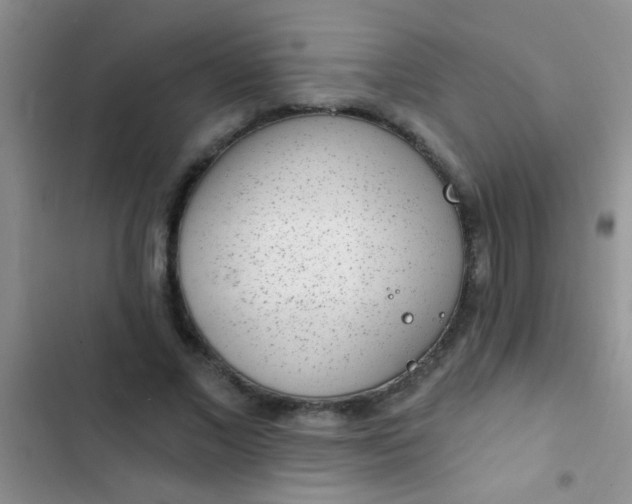 X0000102530685200808221905