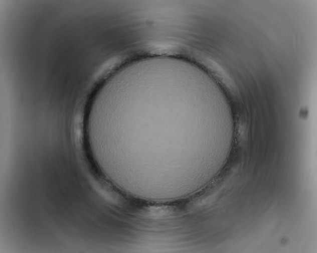 X0000102530686200808221905