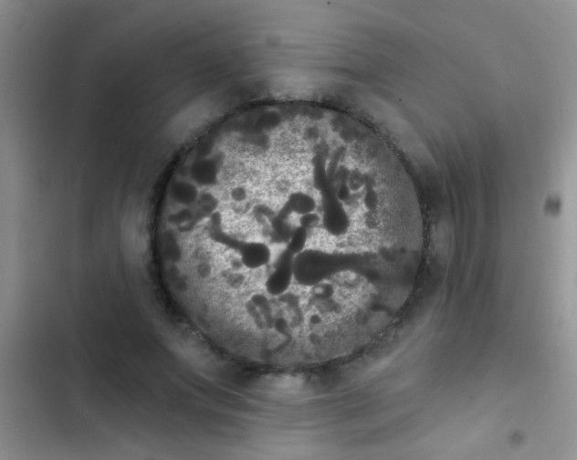 X0000102530687200808221905